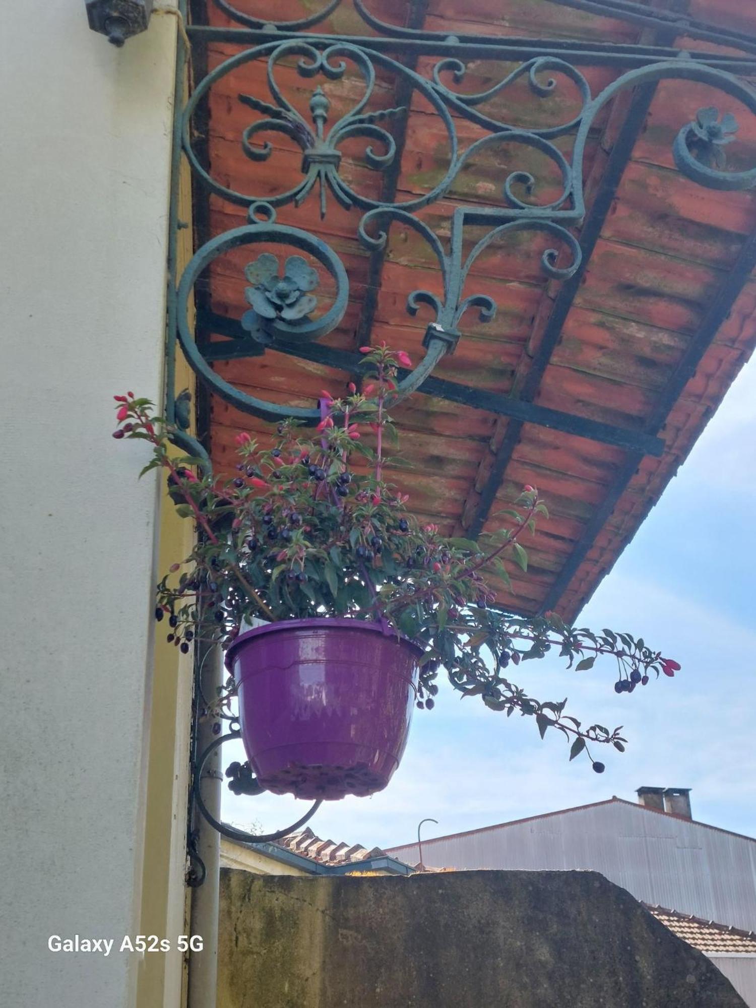 Casa Portugueza Experience Apartment Порто Екстериор снимка