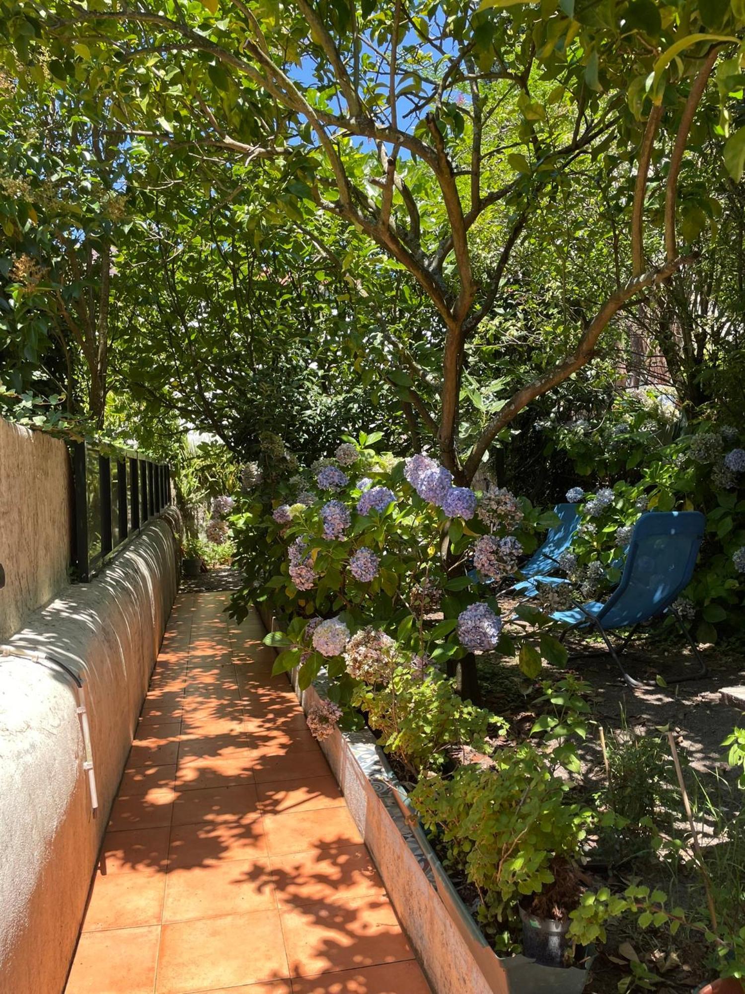Casa Portugueza Experience Apartment Порто Екстериор снимка